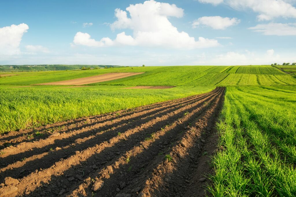 Agricultural landscape